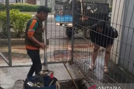 DLH Cianjur menormalisasi saluran air dari sampah cegah banjir