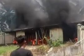 Bupati Aceh Timur minta warga tak terprovokasi terkait HGU Bumi Flora