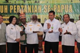 Pemerintah pusat dorong pengembangan sektor pertanian di Papua Selatan