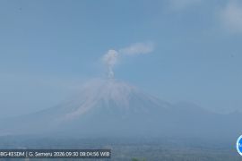 Semeru tujuh kali erupsi, tinggi letusan hingga 1 km
