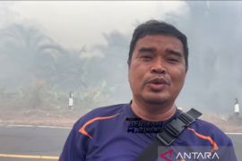 BPBD Bangka Tengah tangani kebakaran lahan di sekitar jalur lintas