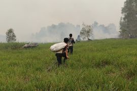 Tim Dishut Kalteng tempuh tiga jam gunakan perahu tangani kebakaran Tahura Isen Mulang