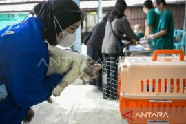 Pemprov Kaltim ajak warga rutin vaksin hewan peliharaan cegah rabies