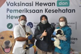 Balai Karantina Jambi gelar layanan kesehatan dan vaksinasi hewan