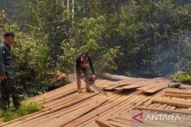 Kemenhut musnahkan 316 batang kayu dan rel di TN Berbak dan Sembilang