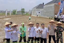 Dongkrak produktivitas panen, Metro mulai terapkan sistem tanam PMAAS