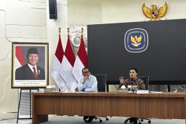 Wamenkes sebut influenza A umumnya dapat sembuh sendiri