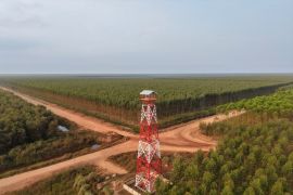 Petugas gunakan menara api setinggi 32 meter pantau karhutla 24 jam di Musi Banyuasin