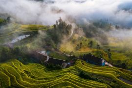 4th "From Ziquejie Terraces To The World" Global Farming Culture Exchange and Mutual Learning Conference Opens in Loudi, Hunan