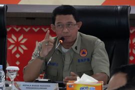 BNPB: Pemadaman karhutla darat Sumsel optimal, tim bisa diperkuat