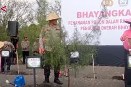 Kapolda Jatim dorong pelestarian pesisir lewat penanaman Cemara Udang