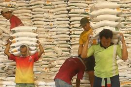 Kementan sebut stok beras nasional aman hingga sepuluh bulan
