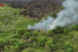 BNPB catat 61 titik api di wilayah IKN