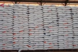 Produksi beras Sulsel naik, target 3,3 juta ton optimistis tercapai