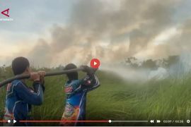 Menhut yakin karhutla disebabkan oleh pembakaran yang disengaja - VIDEO