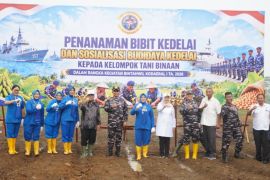 Dari tangan prajurit, tumbuh harapan : Kodaeral I tanam kedelai, semai ketahanan pangan