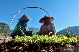 BPS NTB: Nilai tukar petani terkoreksi 0,80 persen pada September 2026