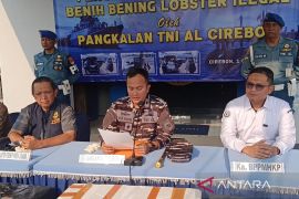 Lanal Cirebon mengungkap pengiriman ilegal 75.435 benih lobster