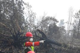 Tim Fire Station SKK Migas PetroChina Jabung all-out bersama Satgas Karhutla