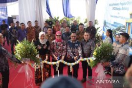 PLN Babel bentuk Unit Pelaksana Pengatur Distribusi tenaga listrik
