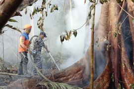 Pemkab Lingga fokus lakukan pendinginan pasca karhutla