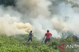 Satgas Karhutla Bangka berhasil tangani 384 karhutla