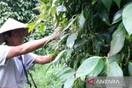 Nilai tukar petani Babel naik 1,89 persen pada September 2026