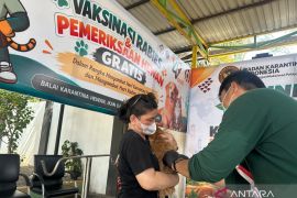 Balai Karantina Sulawesi Tengah siapkan 100 dosis vaksin rabies gratis