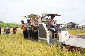 BRMP Papua targetkan swasembada beras melalui pertanian modern