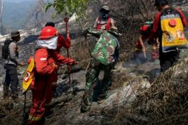 Kebakaran lahan di kawasan Gunung Rinjani telah padam