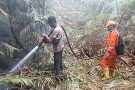 Pemkab Lingga larang pembukaan lahan dengan cara dibakar untuk cegah karhutla
