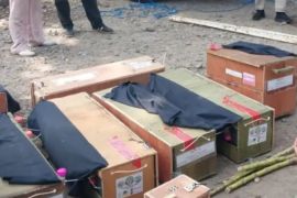 BKSDA Maluku terima 58 ekor satwa liar hasil penyelamatan di Sulut dan dikembalikan ke Malut