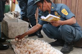 Kemenhut ungkap perdagangan ratusan telur satwa dilindungi di Mimika