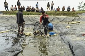 Pelatihan pembudidayaan ikan bagi kelompok tani Jambi