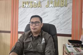 BKSDA Jambi-Gakkum selidiki kematian gajah di kawasan konsesi