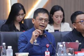 BSSN sebut data pribadi yang beredar kebocoran lama, tetap ditelusuri