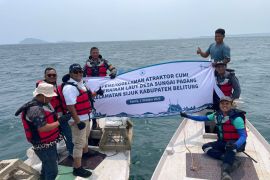 Pemkab Belitung optimis atraktor cumi tingkatkan hasil tangkapan
