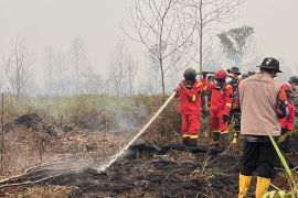 BPBD Kalbar masih fokus tangani karhutla di Ketapang dan Kayong
