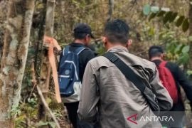 Pemprov Kaltim perkokoh rehabilitasi kawasan hutan