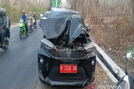 Mobil Siaga Desa Sambong ditimpa pohon tumbang