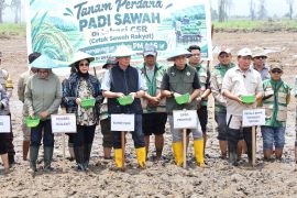 Kabupaten Sigi realisasikan 350 Ha cetak sawah baru di Lindu