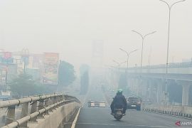 BMKG sebut kualitas udara di Palembang di level sangat berbahaya