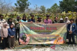 Bangkalan sinergikan BUMDes dengan poktan kembangkan usaha pertanian