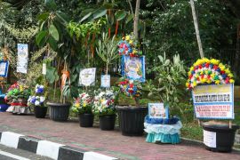 Dukung penghijauan, ratusan pohon warnai HUT ke-26 Banten