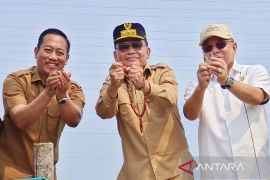 Tambak udang vaname Sukamara hasilkan miliaran rupiah, pacu perekonomian Kalimantan Tengah