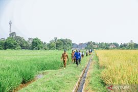 Pemkot Bogor berupaya jaga 58 hektare lahan pertanian dari penyusutan