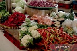 PIHPS: Harga cabai rawit merah capai Rp103.250 per kg