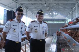 Lapas Narkotika Jambi panen telur ayam program asimilasi WB