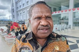 Pemprov sebut koperasi Papua Pegunungan penampung hasil bumi warga telah dibangun