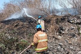 Disdamkar Garut menangani 335 kebakaran lahan seluas 123,6 hektare